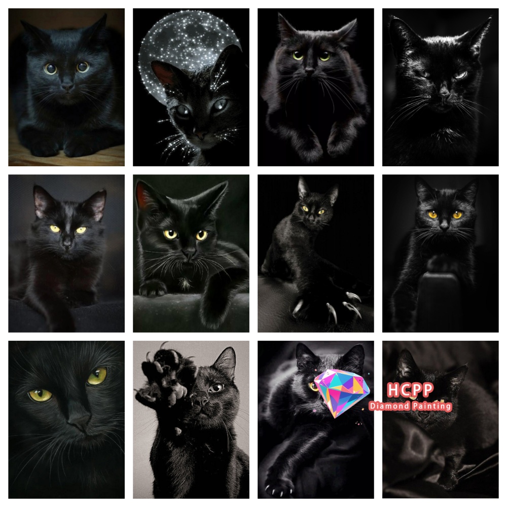 Resin Art Craft - unframe Black Cat Animal Diamond Painting
