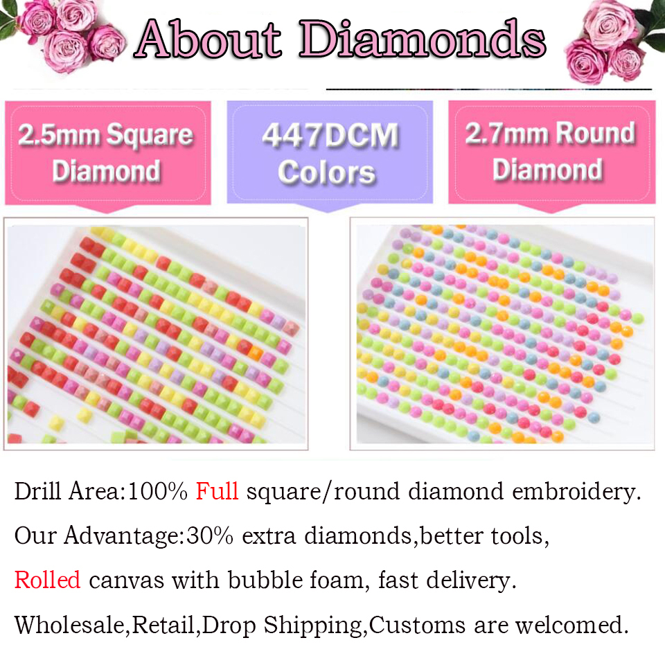 1pc frameless  5D Diamond art  - огляд і ціна Resin Art Mary