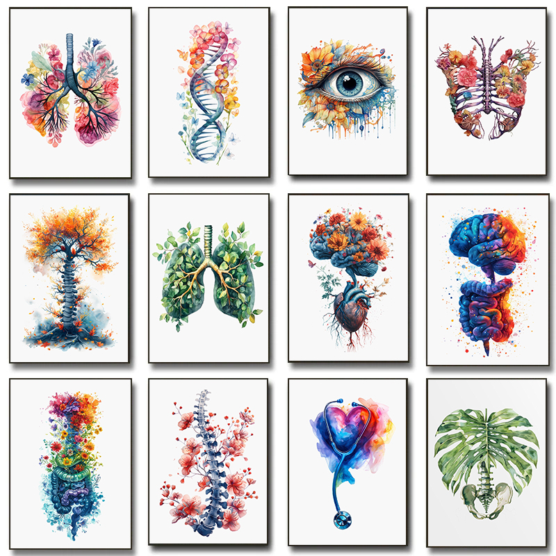 Anatomy Of Human Organs Poster - огляд і ціна Resin Art Wall